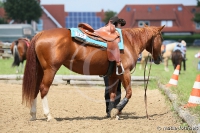 Westernreitertage in Bargstedt 2016