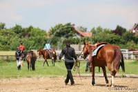 Westernreitertage in Bargstedt 2016