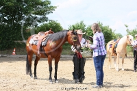 Reining Fortgeschritten