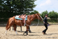 Westernreitertage in Bargstedt 2016