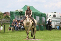 Westernreitertage in Bargstedt 2016