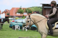 Westernreitertage in Bargstedt 2016