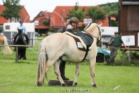 Westernreitertage in Bargstedt 2016