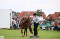 Westernreitertage in Bargstedt 2016