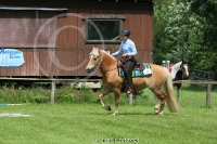 Westernreitertage in Bargstedt 2016