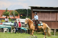 Westernreitertage in Bargstedt 2016