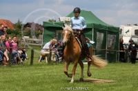 Westernreitertage in Bargstedt 2016