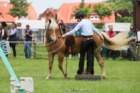 Westernreitertage in Bargstedt 2016