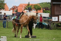 Westernreitertage in Bargstedt 2016