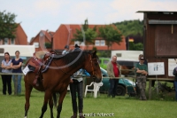 Westernreitertage in Bargstedt 2016