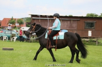 Westernreitertage in Bargstedt 2016