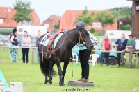 Westernreitertage in Bargstedt 2016