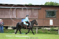 Westernreitertage in Bargstedt 2016