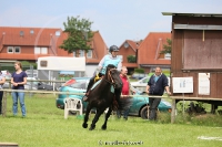 Westernreitertage in Bargstedt 2016