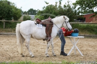 Westernreitertage in Bargstedt 2016