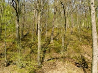 Hundeshagen die Perle im Eichsfeld