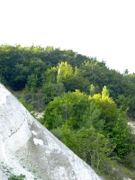 Kreidefelsen