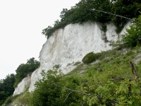 Kreidefelsen