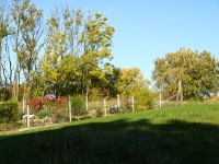 Insel Rügen