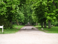 Insel Rügen