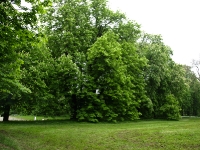 Putbus Park