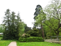 Putbus Park