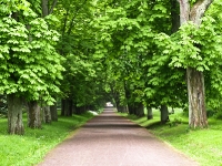 Putbus Park