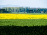 Rügen