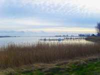 Insel Rügen_am Bodden_2 (76)