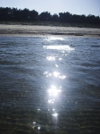 Insel Rügen_Sommerabend am Strand Schaabe_2 (8)