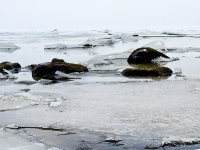 Rügischer Bodden