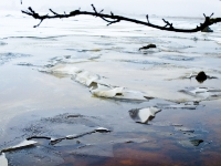 Rügischer Bodden