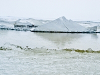 Rügischer Bodden