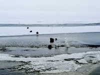 Insel Rügen