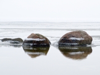 Rügischer Bodden