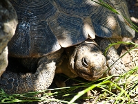 Bärenpark Worbis