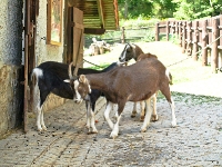 Bärenpark Worbis