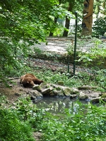 Bärenpark Worbis