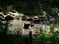 Bärenpark Worbis