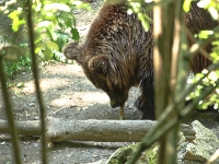 Bärenpark Worbis