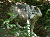 Bärenpark Worbis