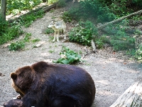 Bärenpark Worbis