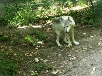 Bärenpark Worbis