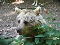 Bärenpark Worbis