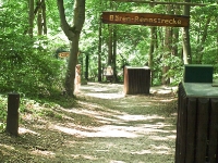 baerenpark_worbis_P6275070