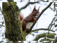 Die faszinierende Welt der Tiere