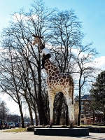 Tierpark Hagenbeck