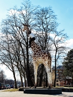 tierpark-hagenbeck_mfw13__015611