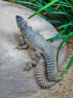 Tropen Aquarium Hagenbeck