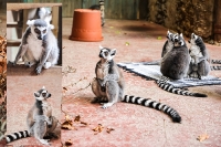 Tropen Aquarium Hagenbeck